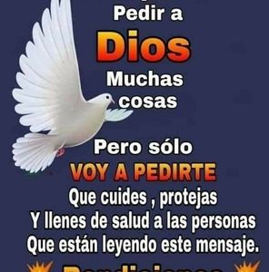 Meet your Posher, Rene